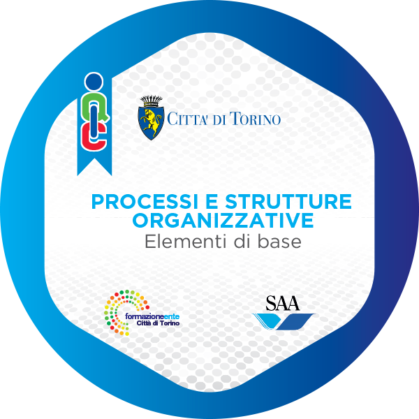 I Processi e le strutture organizzative - Elementi di base. 
    Corso online